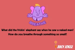 A Frickin Elephant Joke