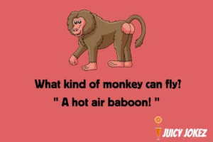 Monkey Joke