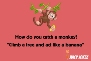 Monkey Joke