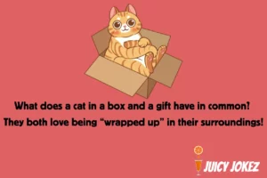Boxes Joke about cat