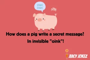 Pig Joke
