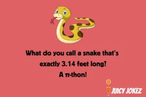 Snake Joke
