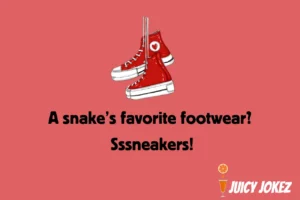 Snake Joke about sneaker shoes