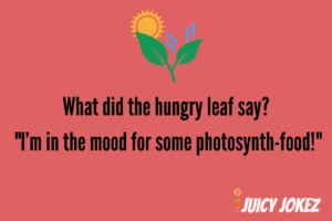 Leaf Joke