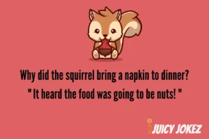 squirrel joke about nuts