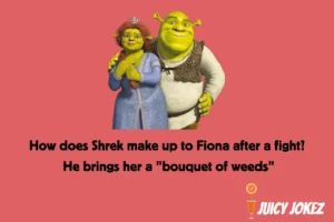  Shrek Joke