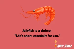 Jelly Fish Joke