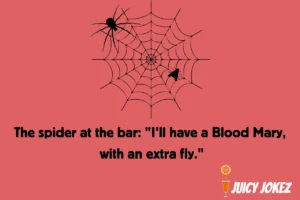Spider Joke