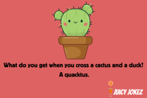 Cactus Joke