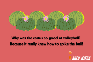 Cactus Joke
