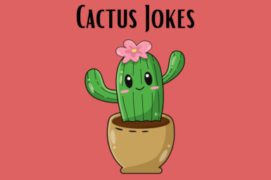 cactus jokes