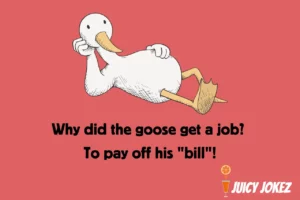 Goose Joke