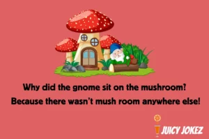 Gnome Joke