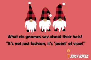 Gnome Joke