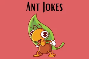 Ant Jokes
