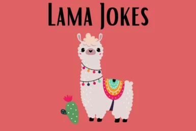 Lama Jokes
