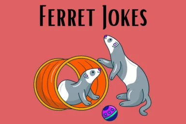 Ferret Jokes